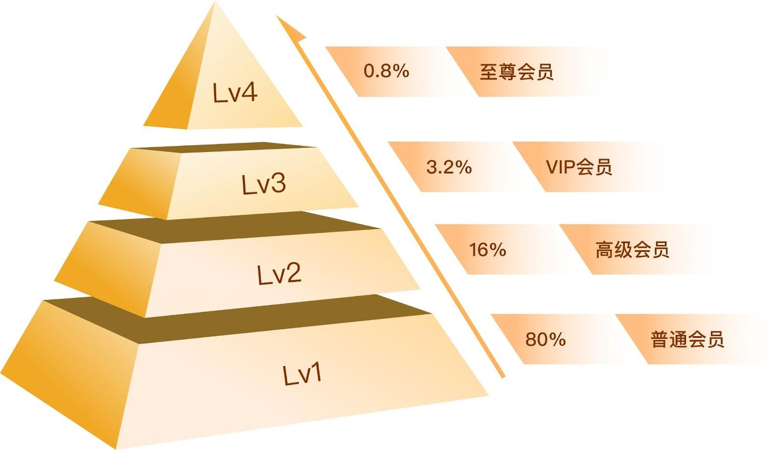 粘住客户、省钱省力！恒盛集运系统这样玩转营销