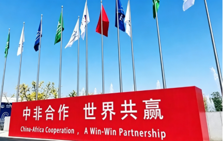 恒盛专线散拼系统 | 非洲散拼生意爆发，但货代公司为何越做越累？